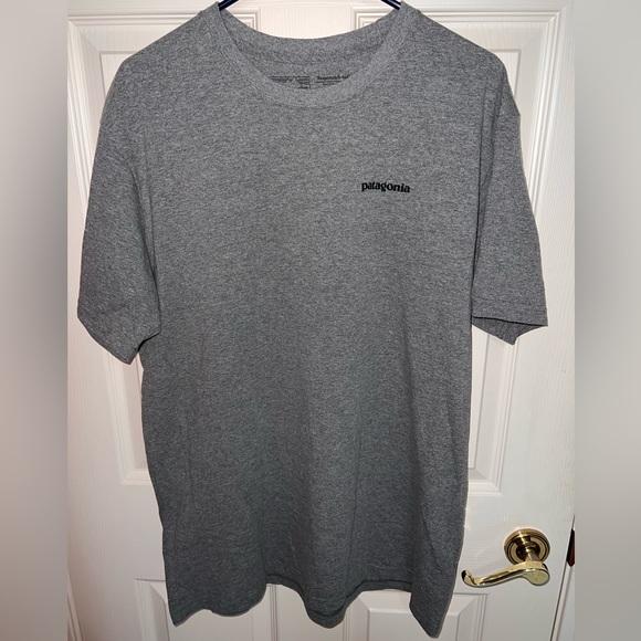 Patagonia t-shirt! Size L! - Picture 1 of 3